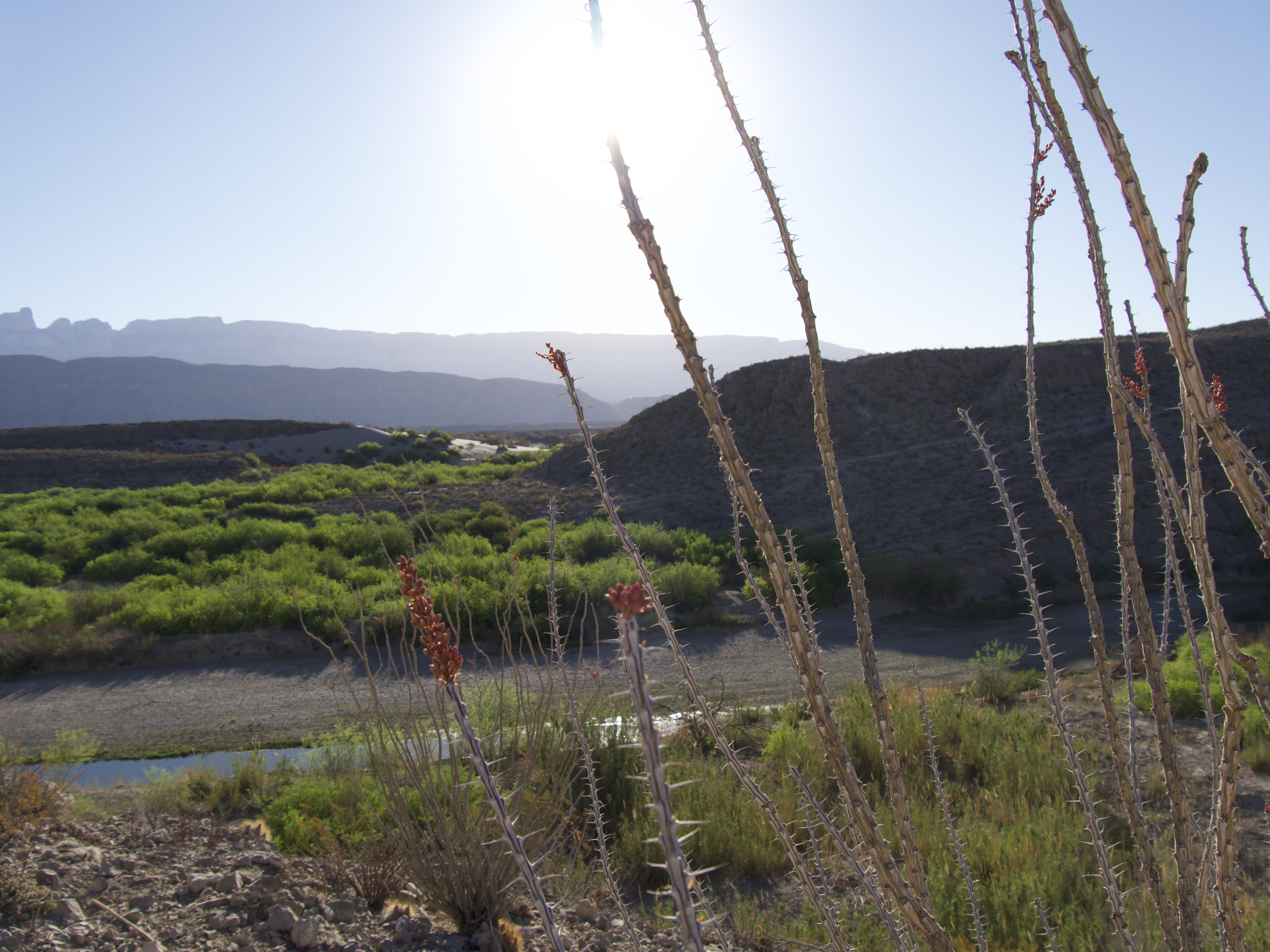 A Weekend in Big Bend National Park